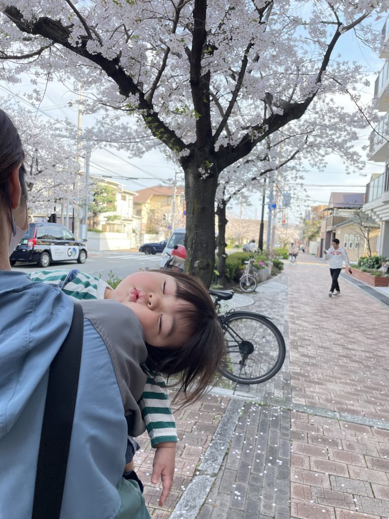 さくら賞）帰り道